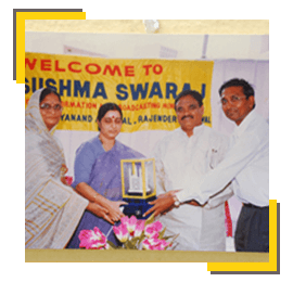 History milestone 11